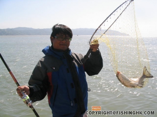 伯父首先中魚