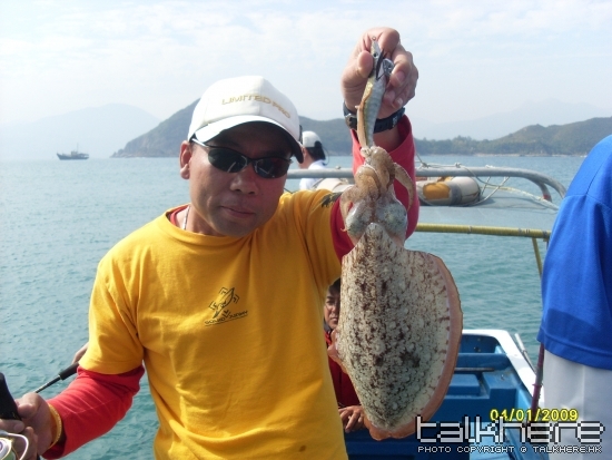 都是個隻