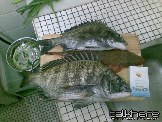 圖像007.jpg