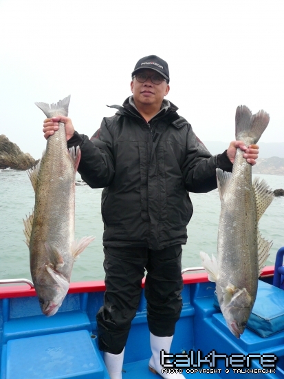 2条鱸