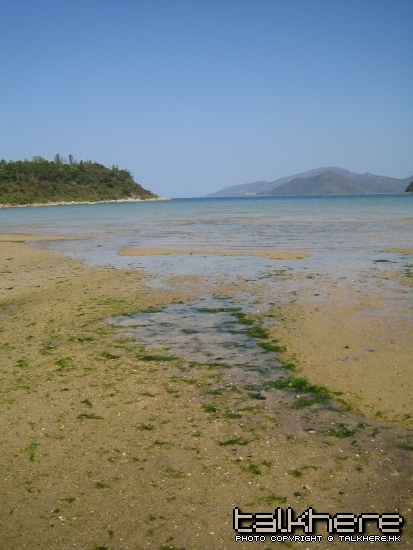 IMG_2397.JPG