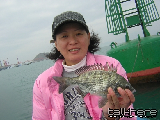 DSCN5557.JPG DSCN5557.JPG