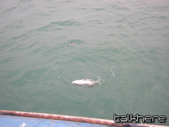 DSCN5542.JPG DSCN5542.JPG