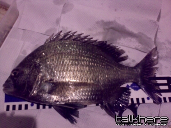 08022009046.jpg