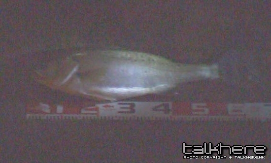 20090210220303.jpg