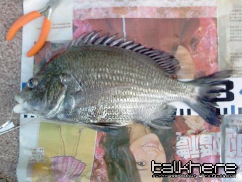 IMG053.jpg