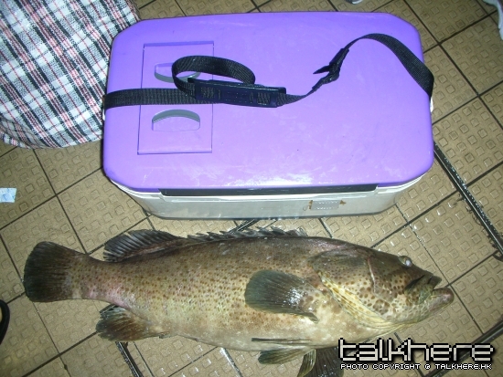 DSCN1354.JPG