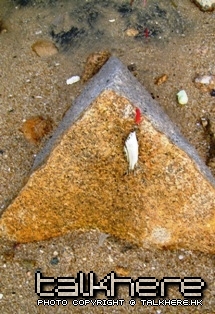 7.JPG