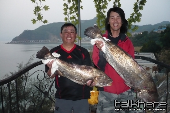 幼絲釣大魚好好玩！