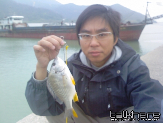 IMG062.jpg