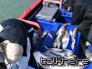 暴风截屏20090318234426.jpg