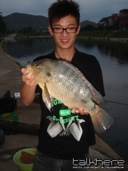 DSC08486.JPG