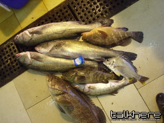 照片 054_调整大小.jpg