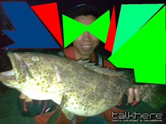 20090405152.jpg