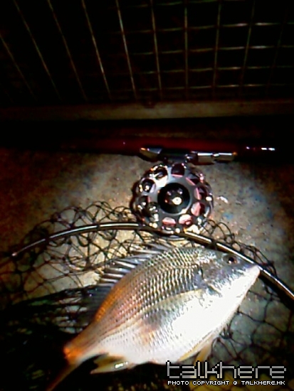IMAG0123.jpg
