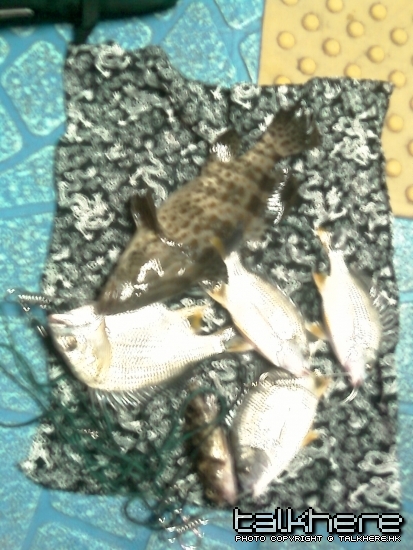 IMAG0254.jpg