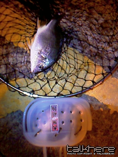 IMAG0142.jpg
