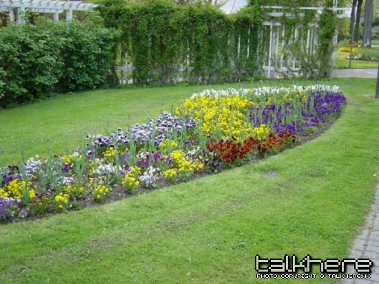 Nice garden