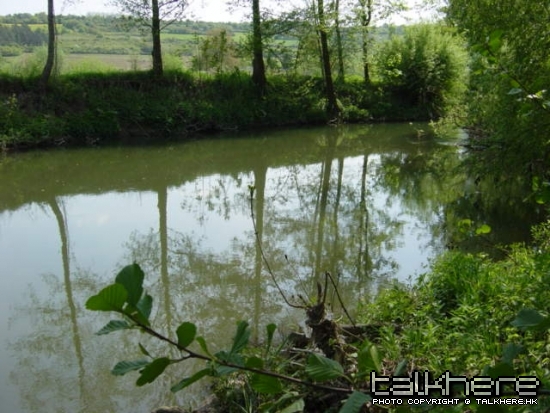 Fish location