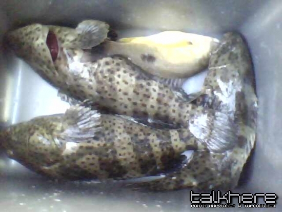 照片 029.jpg