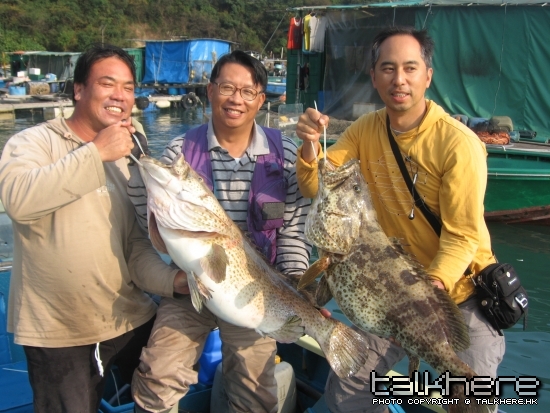 石班魚25032007 006.jpg