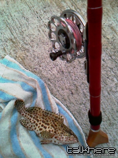 IMAG0203.jpg