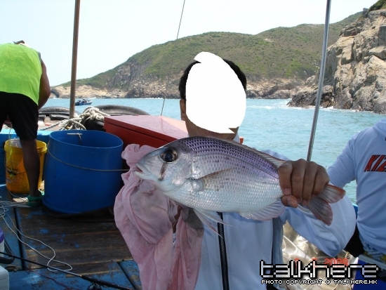 DSC02490.JPG