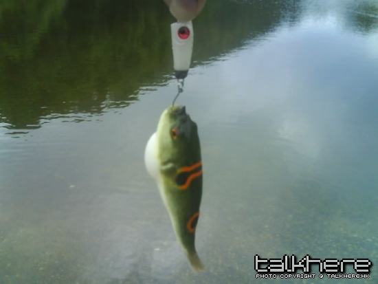 DSC01298.JPG