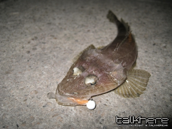 複製 -小物~May-2009 017.jpg