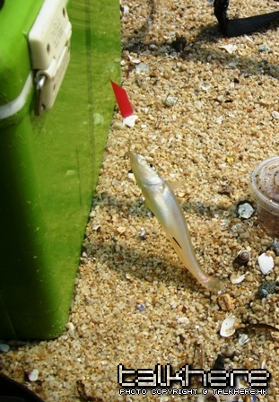 S7002881.JPG