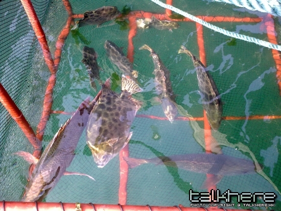 20090411007.jpg