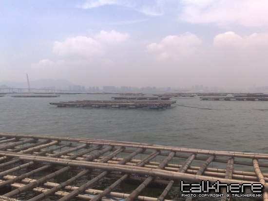 20090517306.jpg