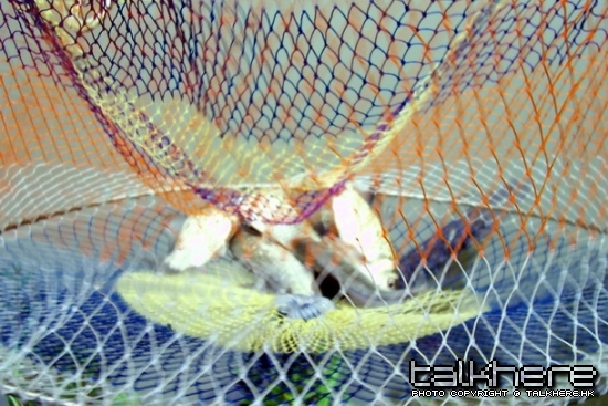 100_4490_exposure_缩小大小.jpg