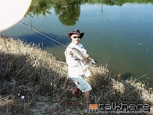 我師父又中羅菲