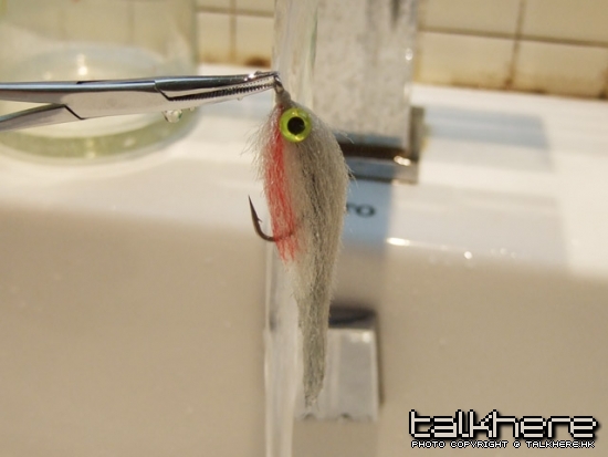 DSCF4958.JPG