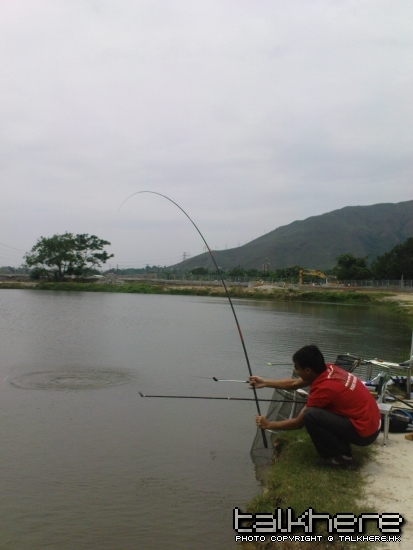 DSC00268.JPG