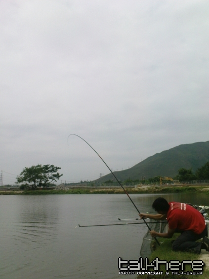 DSC00273.JPG