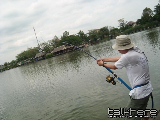 SL273358.JPG