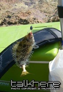 S7002929.JPG