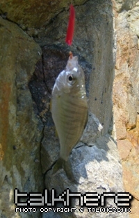 S7002927.JPG
