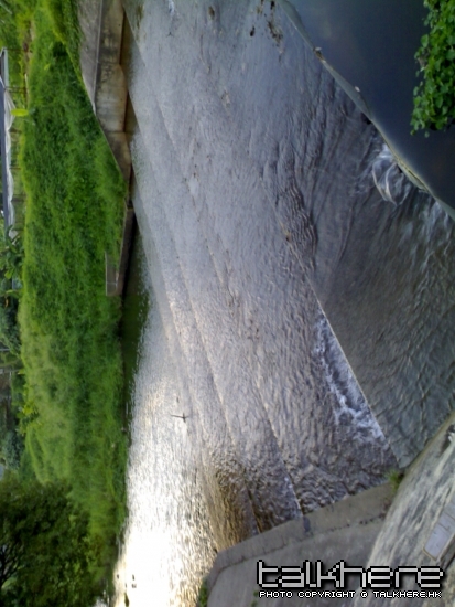 20060625026_291.jpg
