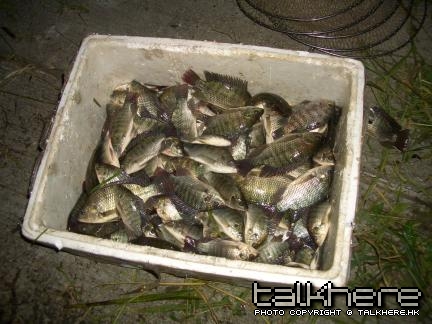CIMG0224.JPG