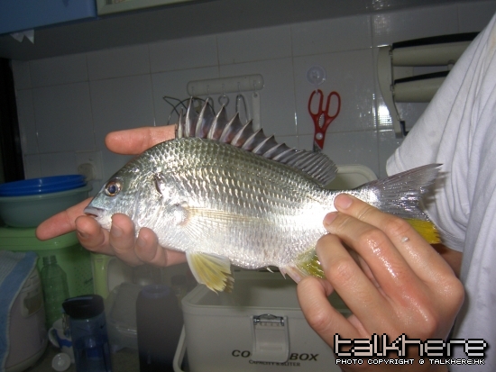 PICT0100.JPG