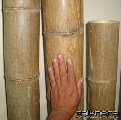 S7003039.JPG