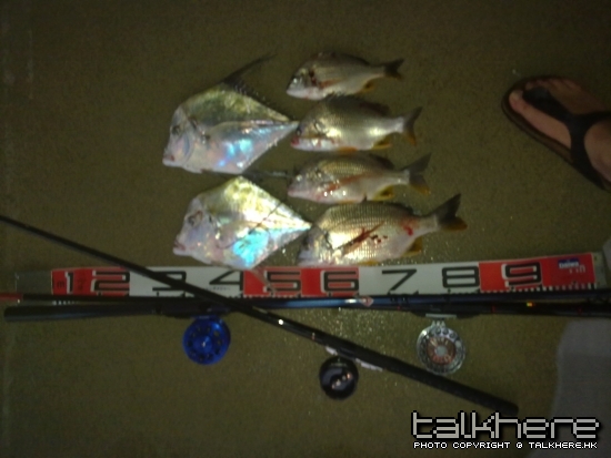 20090628063.jpg