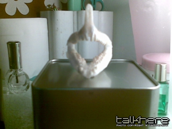 20090630.jpg