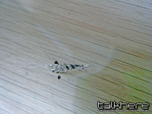 DSCF5370.JPG