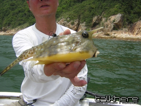 DSCN6291.JPG