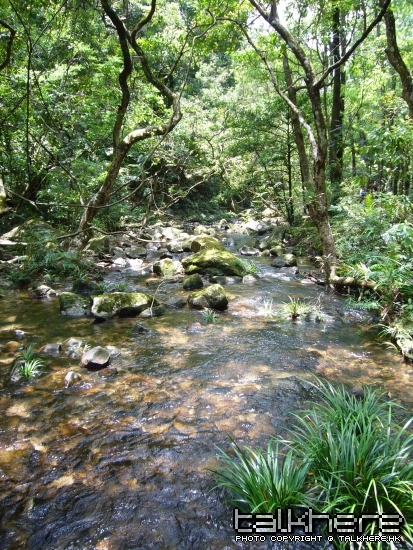 P1080735.jpg