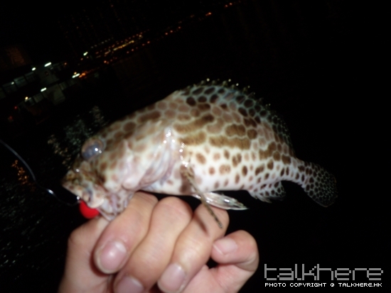 DSCN1232.JPG